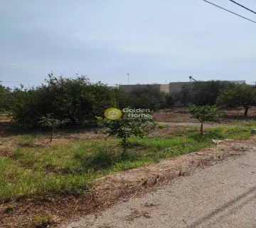 Residential 1300m<sup>2</sup> for sale photo 3