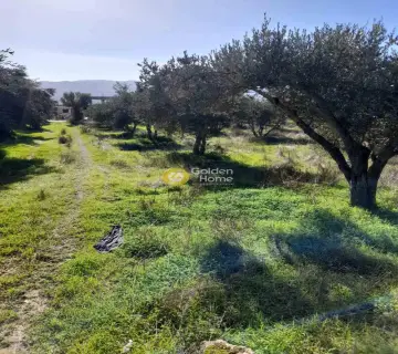 Residential 1820m<sup>2</sup> for sale photo 5