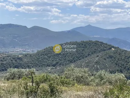 Residential 535m<sup>2</sup> for sale photo 2