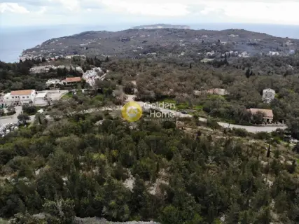 Οικιστικό 10000τ.μ. προς πώληση φωτογραφία 3998284