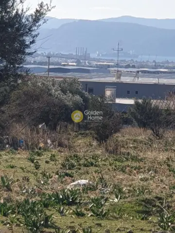 土地 6000m<sup>2</sup> for sale photo 4007754