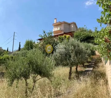 House 360m<sup>2</sup> for sale photo 5