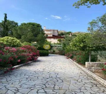 House 360m<sup>2</sup> for sale photo 17