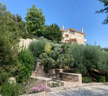 House 360m<sup>2</sup> for sale photo 3