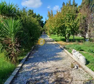 Residential 7000m<sup>2</sup> for sale photo 13