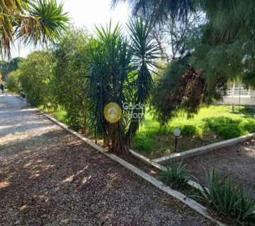 Residential 7000m<sup>2</sup> for sale photo 15