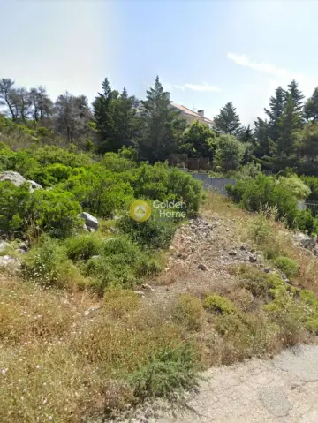 Residential 2172m<sup>2</sup> for sale photo 4224964