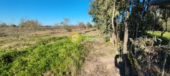 Golden Home Property Image