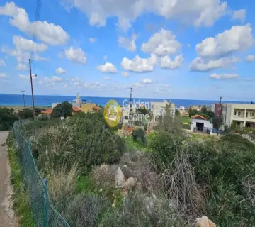 住宅 1000m<sup>2</sup> for sale photo 3