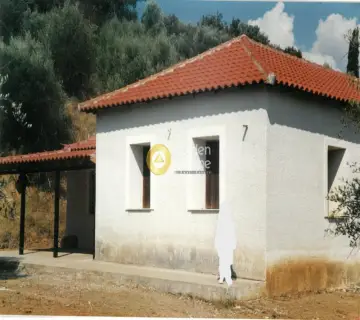 House 118m<sup>2</sup> for sale photo 4