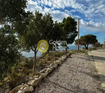 住宅 1680m<sup>2</sup> for sale photo 4013582