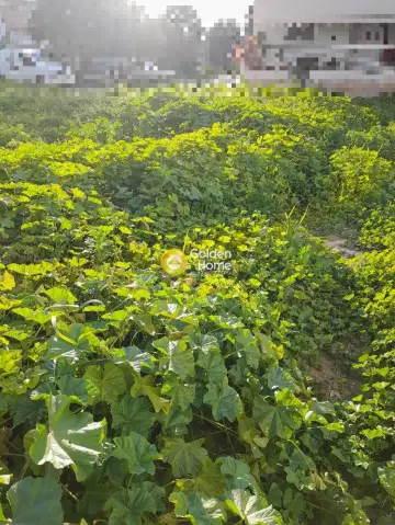 Residential 346m<sup>2</sup> for sale photo 2