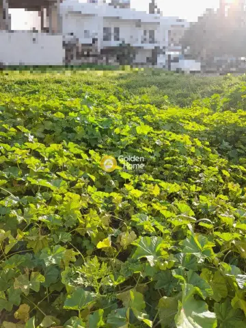 Residential 346m<sup>2</sup> for sale photo 1