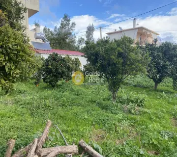 Οικιστικό 290τ.μ. προς πώληση φωτογραφία 4016300
