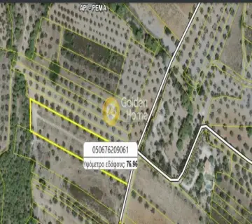 Golden Home Property Image