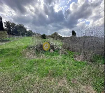 Residential 478m<sup>2</sup> for sale photo 1