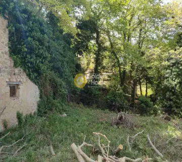Residential 404m<sup>2</sup> for sale photo 4226721