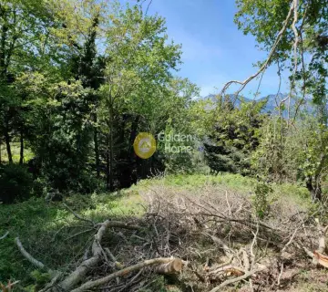 Residential 165m<sup>2</sup> for sale photo 4226722