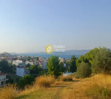 Αγροτεμάχιο 24000τ.μ. προς πώληση φωτογραφία 4051543
