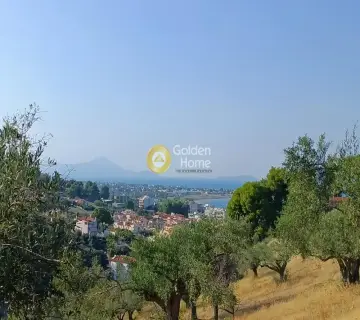 Αγροτεμάχιο 24000τ.μ. προς πώληση φωτογραφία 4051535