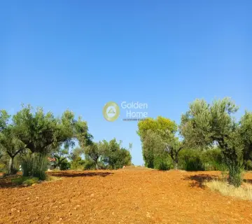 Αγροτεμάχιο 24000τ.μ. προς πώληση φωτογραφία 4051536