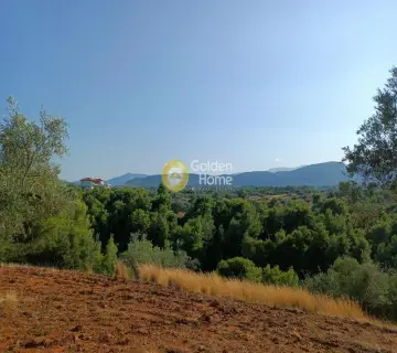 Αγροτεμάχιο 24000τ.μ. προς πώληση φωτογραφία 4051541