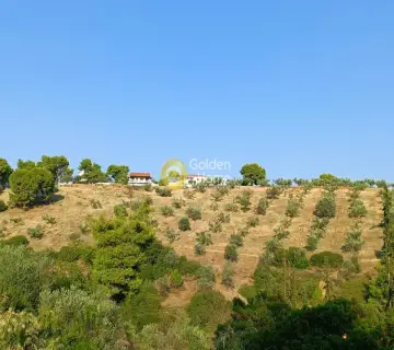 Αγροτεμάχιο 24000τ.μ. προς πώληση φωτογραφία 4051538