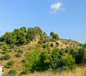 Αγροτεμάχιο 24000τ.μ. προς πώληση φωτογραφία 4051540