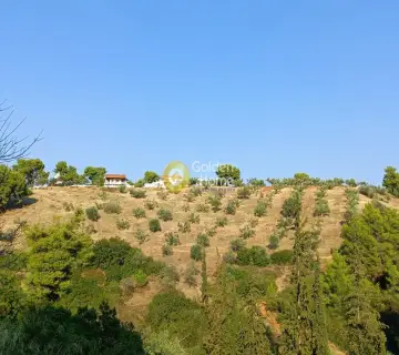 Αγροτεμάχιο 24000τ.μ. προς πώληση φωτογραφία 4051537