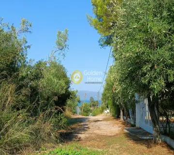Αγροτεμάχιο 24000τ.μ. προς πώληση φωτογραφία 4051542