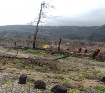 Professional Plot 199000m<sup>2</sup> for sale photo 4027984