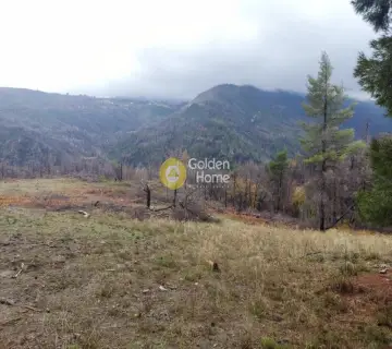 Professional Plot 199000m<sup>2</sup> for sale photo 4028333