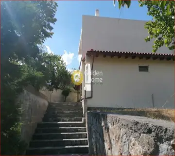Residence complex 340m<sup>2</sup> for sale photo 7