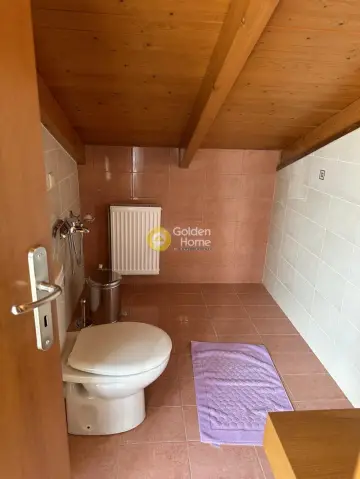 Μονοκατοικία 430τ.μ. προς πώληση φωτογραφία 28