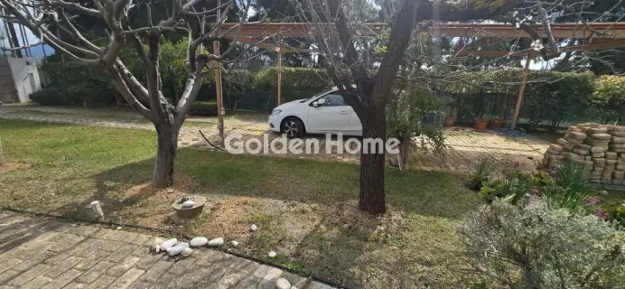 Μονοκατοικία 430τ.μ. προς πώληση φωτογραφία 5315677