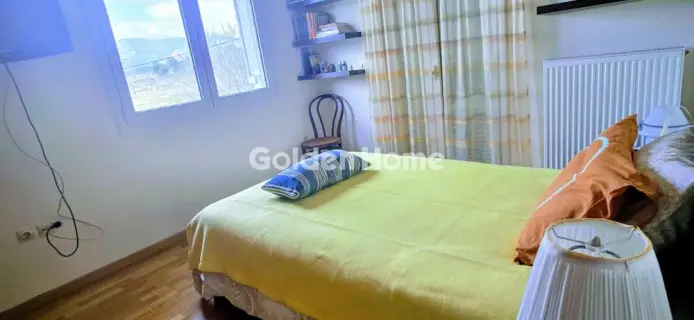 Μονοκατοικία 430τ.μ. προς πώληση φωτογραφία 20