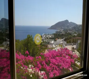 Golden Home Property Image