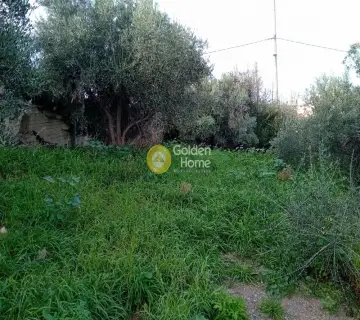 Οικιστικό 313τ.μ. προς πώληση φωτογραφία 1