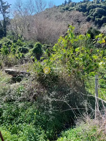 Residential 886m<sup>2</sup> for sale photo 2