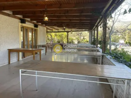 Store 600m<sup>2</sup> for rent photo 29