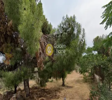 Οικιστικό 700τ.μ. προς πώληση φωτογραφία 4062139