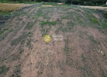 Professional Plot 7960m<sup>2</sup> for sale photo 4055783