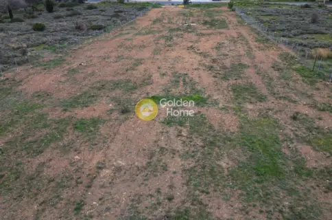 Professional Plot 7960m<sup>2</sup> for sale photo 4055784