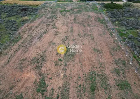 Έκταση 7960τ.μ. προς ενοικίαση φωτογραφία 4055777