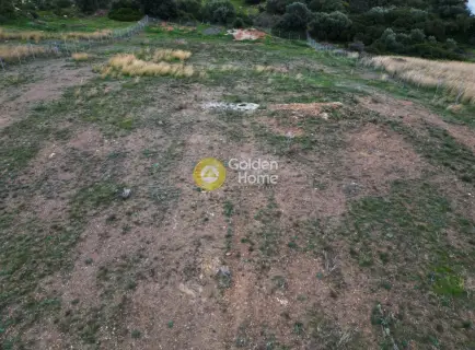 Έκταση 7960τ.μ. προς ενοικίαση φωτογραφία 4055779