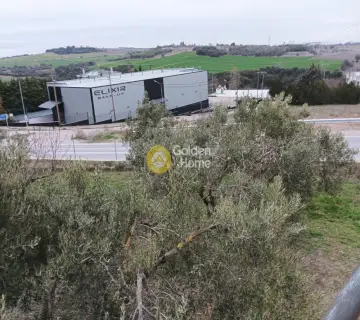 Golden Home Property Image