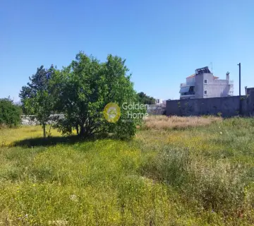 Residential 2240m<sup>2</sup> for sale photo 3
