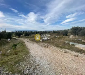 Βιομηχανικός - Βιοτεχνικός Χώρος 20000τ.μ. προς πώληση φωτογραφία 15