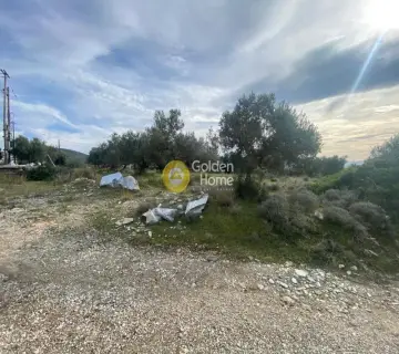 Βιομηχανικός - Βιοτεχνικός Χώρος 20000τ.μ. προς πώληση φωτογραφία 24
