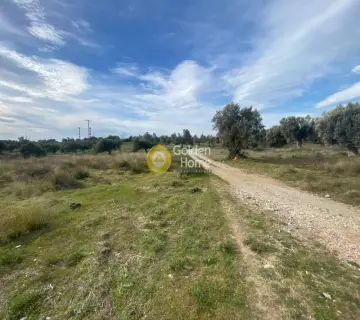 Βιομηχανικός - Βιοτεχνικός Χώρος 20000τ.μ. προς πώληση φωτογραφία 25